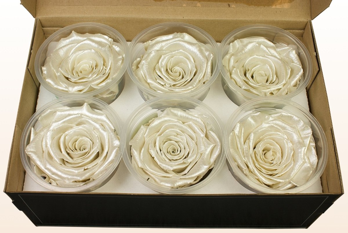 10 X Rosette Rosse E Bianche 1 Livello Rosette Premi Scuola - Foto 2